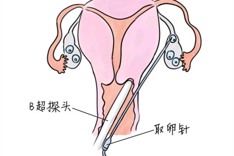 http://qingdao.huochezhan.net/post/205.html|青岛供卵助孕