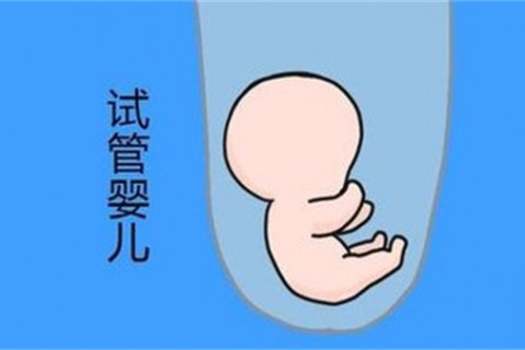 培养青岛捐卵宝宝艺术细胞的小技巧