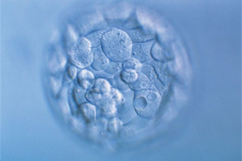 http://qingdao.huochezhan.net/post/200.html|青岛新闻中心
